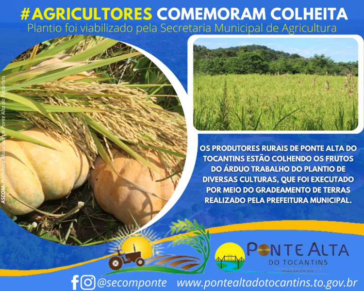 Colheita da produção agrícola