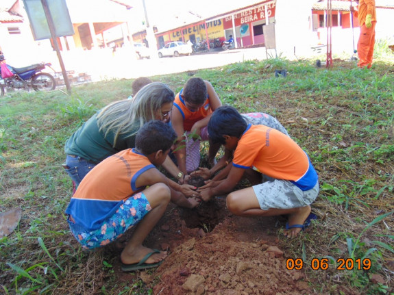 Crianças plantando arvores