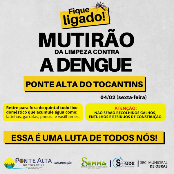 Todos contra a Dengue